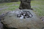 熊野神社長床　Kumano Shrine head floor06